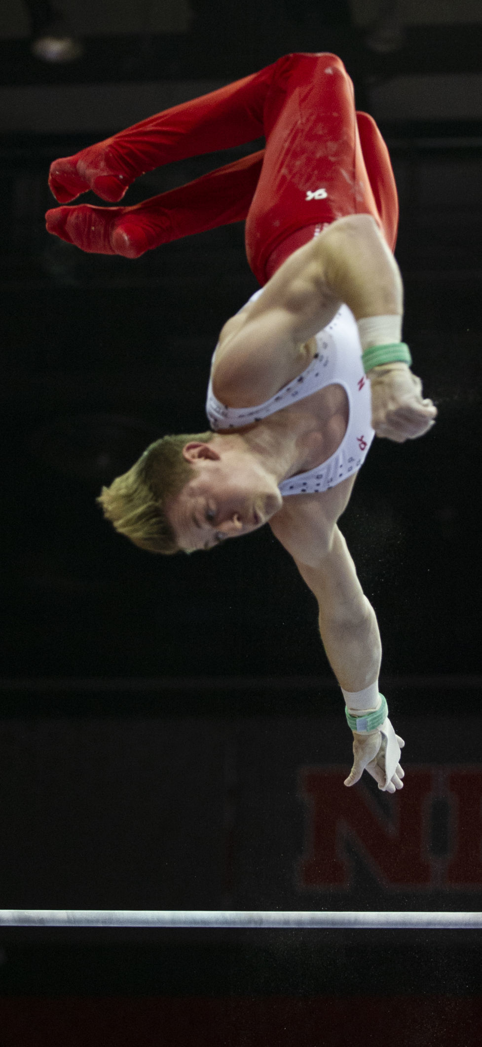 NU men's gymnastics vs. Illinois, Oklahoma, 2.2